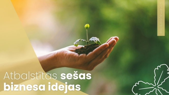 Atbalstītas sešas biznesa idejas