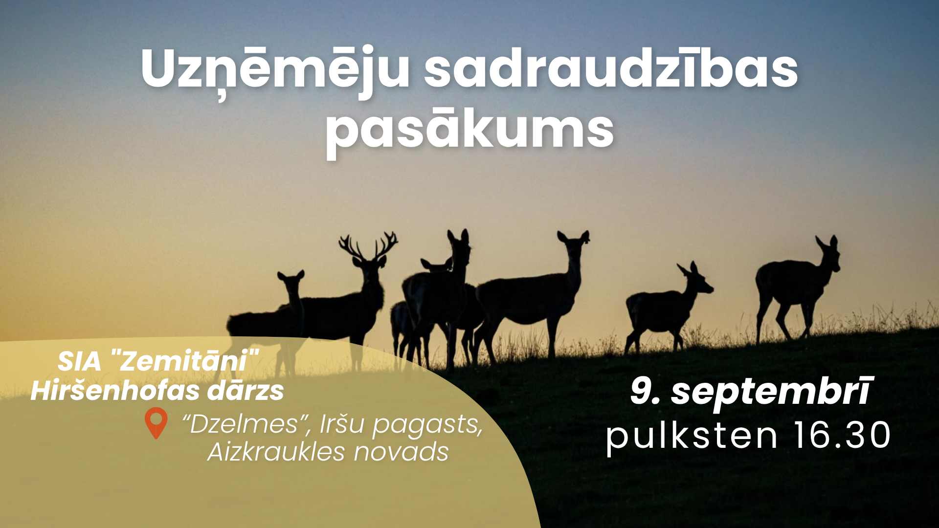 Uzņēmēju tikšanās Irši