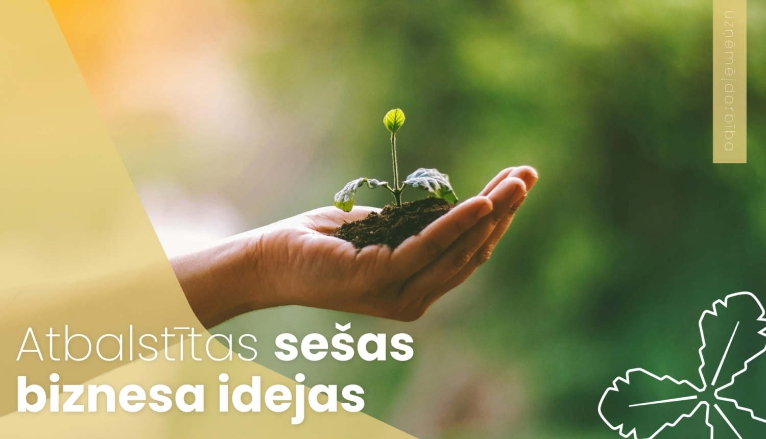 Atbalstītas sešas biznesa idejas